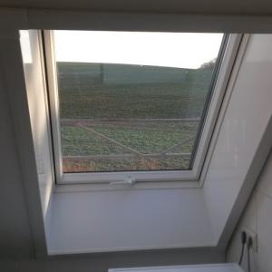 Dachfenster & Fenster