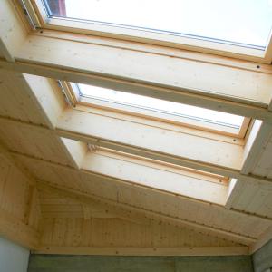 Dachfenster & Fenster